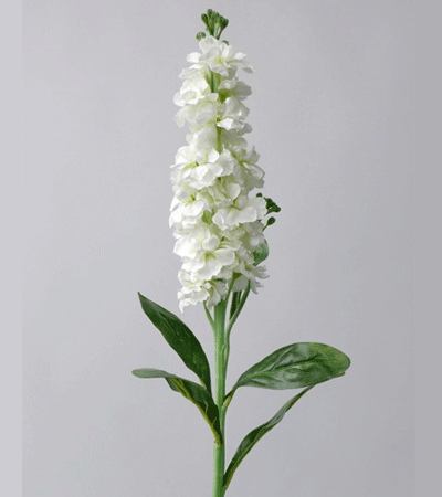 Image of 67 cm violier kunst bloem creme