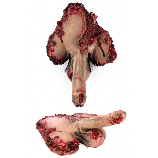 Image of Afgerukte penis met bloed
