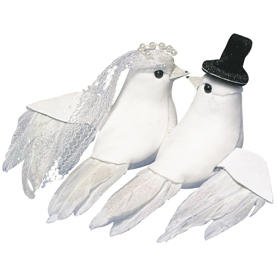 Image of Bruiloft decoratie witte duiven bruid en bruidegom
