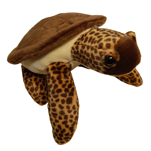Image of Bruine knuffel zeeschildpadden