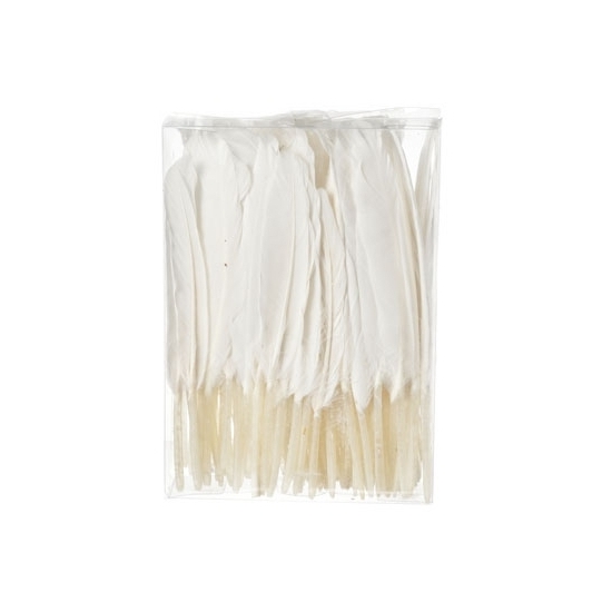 Image of Zakje witte decoratie veren 100 stuks 13 cm
