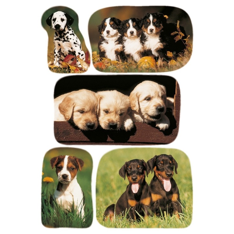 15x Honden-puppy dieren stickers
