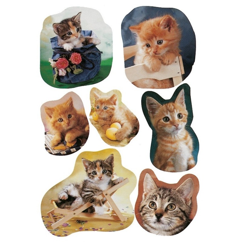 21x Katten-poezen dieren stickers