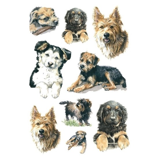 27x Honden-puppy dieren stickers