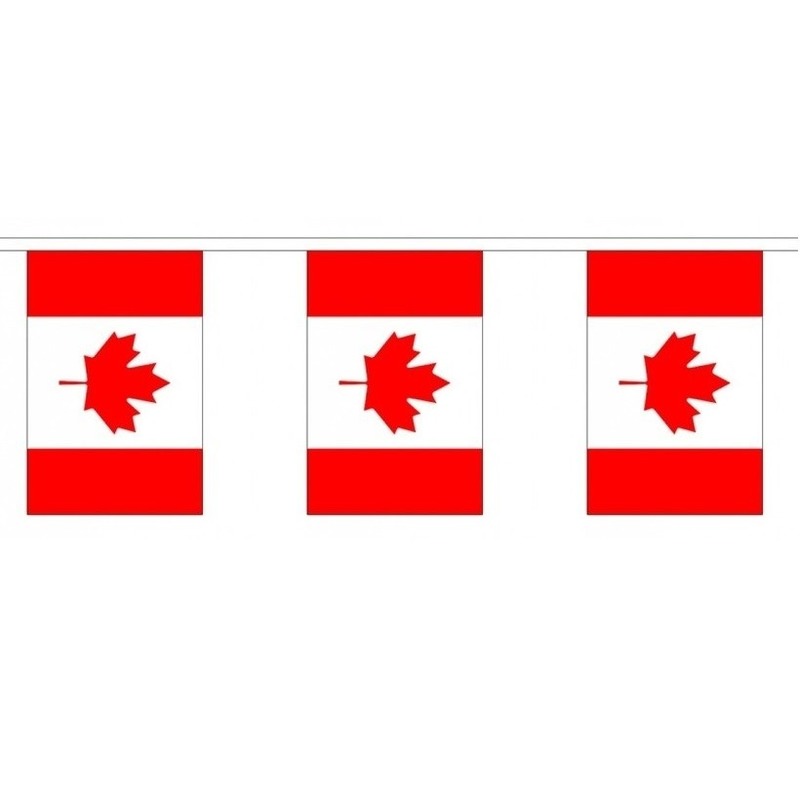 Vlaggenlijnen Canada 3 meter