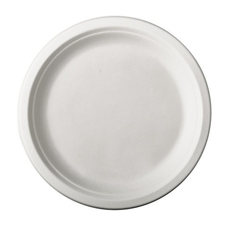 12x White round sugar cane diner plates 26 cm biodegradable