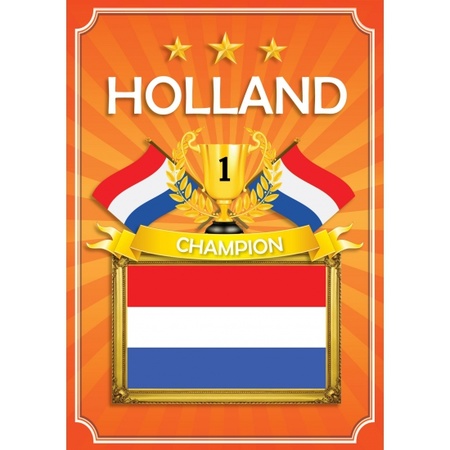 Holland feestversiering pakket kl