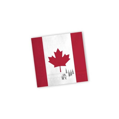 Tafel dekken versiering set vlag Canada thema voor 16x personen