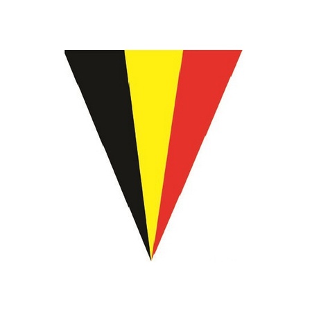 Belgie versiering vlaggenlijnen 5 meter