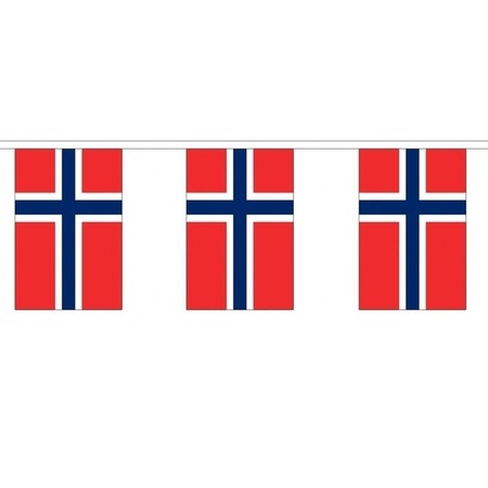 Vlaggenlijnen Noorwegen 3 meter