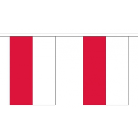 Vlaggenlijnen Polen 3 meter