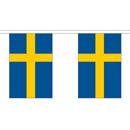 Vlaggenlijnen Zweden 3 meter