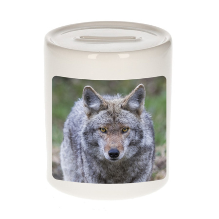 Animal photo money box wolfs