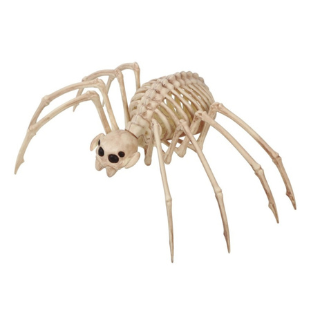 Horror decoratie skelet tarantula spin 35 x 20 cm