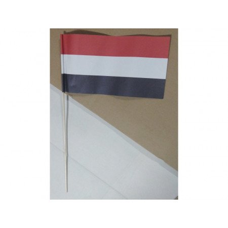 Kunststof zwaaivlaggetje Holland/Nederlandse vlag 20 x 30 cm