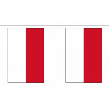 Vlaggenlijn indonesie 9 m