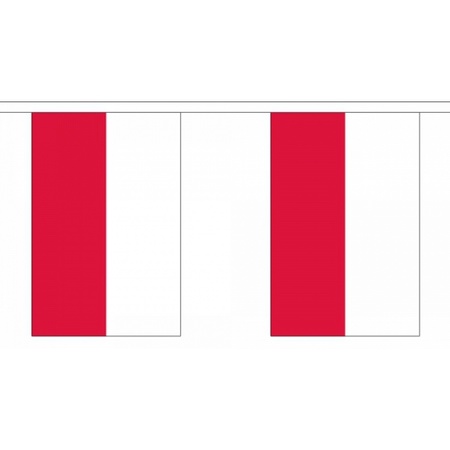 Vlaggenlijn Polen 9 m