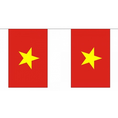 Vietnam vlaggenlijn rechthoekig 9 m