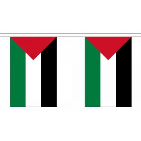 Palestina vlaggenlijn 9 meter
