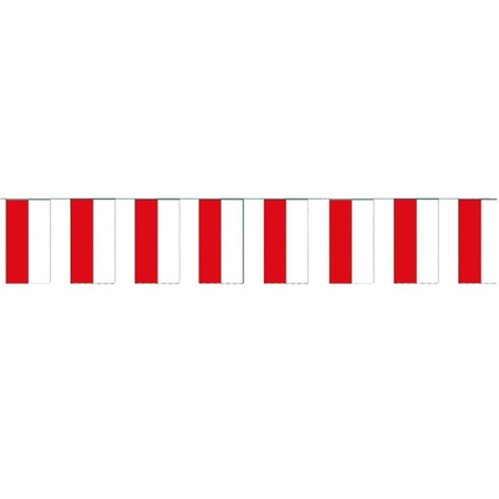 Polen vlaggetjes slinger