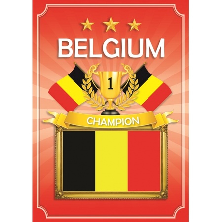 Feestartikelen poster Belgie