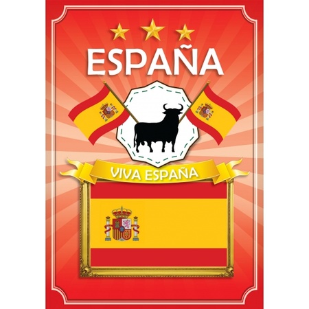 Spaans feest pakket groot