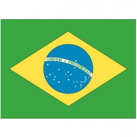 Brazilie vlaggetjes stickers