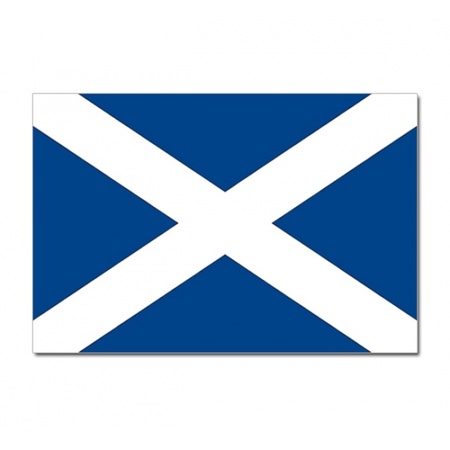 Schotlandse vlag + 2 gratis stickers