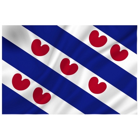 Friesland versiering pakket met 2 vlaggen en 6 vlaggenlijnen