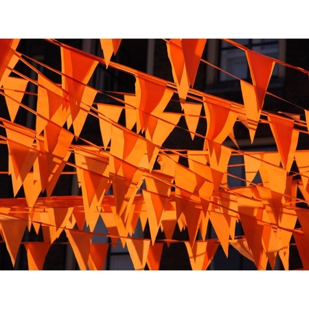 Oranje vlaggenlijnen 10 meter